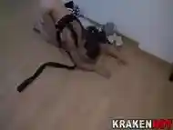 Chick is put on a leash and crawls for master