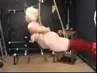 Chubby tattooed tied girl obeys rough bondage and BDSM humiliation