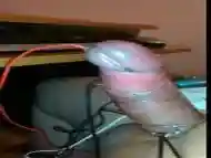 Dude''s cock is tied up and stimulated with electric device