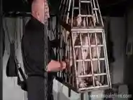 Flat chested cage slut released to receive tits torture BDSM