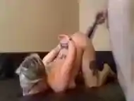 Sluty chubby naked tattooed babe obeys to BDSM and bondage