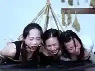 yingshu bondage (sakuraa) -Dunhil-