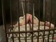 Tied On Bed Milf Receives Her Treatment In Prison