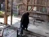 Tied Up And Fucked By Machine In Barn