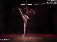 Shibari Performance