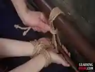 Rope tied bondage babe gets pussy fucked before blowjob