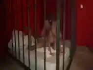 Extreme Porn Slut Monika Fox Gets Fucked Hard In All Holes Fisted And Footfetish In A Cage