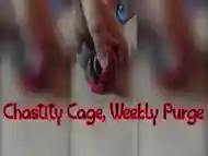 Chastity cage, weekly purge