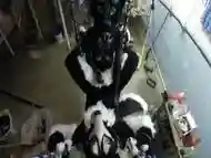 Murrsuiter gets pegged hard by a dominatrix in a swing