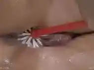 Queensnake.com - Self Brushing - Queensect.com