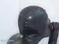 Sucking the dildo in Comdom Catsuit