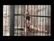 Amateur redhaired subbie in jail