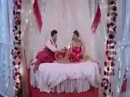 Bhai bahin ke hot sex video