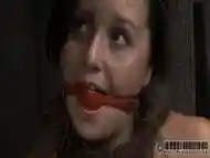 Master is torturing babes cunt