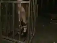 blond from a cage