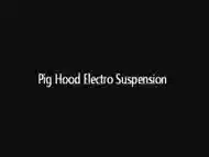 ****Hood Electro Suspension