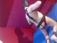 Cute Puppy Is Struggling With A Set Of Ropes Trying To Do Some Self Bondage