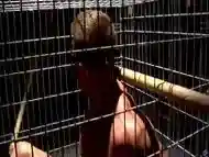 Muscular Man Gets Blindfolded And Caged 5 Min - Tyler Saint