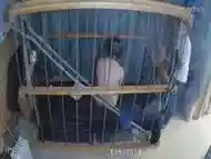 The Cage Cam May 9 2018 1632 Motion sensor triggered recordings