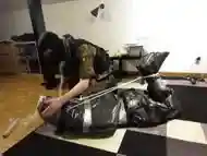 Trash bag bondage