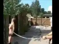 2 girls whip each other