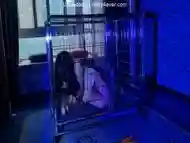 Caged Girl P1