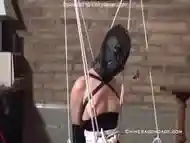 Chimera Bondage