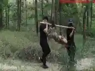 Girl Captured Bound In A Forest(2)