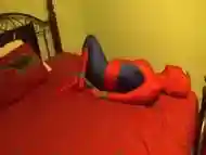 Spider Bella