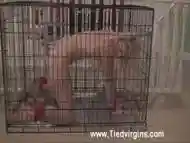 TiedVirgins Video: Racheal Nipper Caged Slut