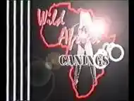 Wild Africa Canings: Female Prison Anguish