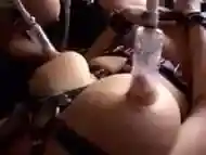 belladonna gets milked