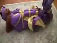 Batgirl Hogtied