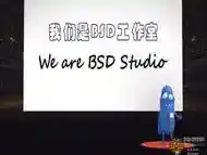 Bsd (chinese Bondage)