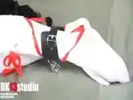 Chinese Bondage 4