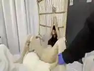 Chinese Tickled On Hanging Chair