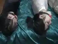 Three Women Tied At The Same Time