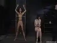 Bound lesbian slaves sticked on dildos