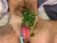 Cbt pumped stinging nettles cum