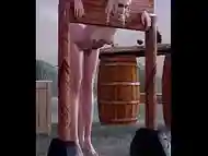 Ciri Pillory Sex