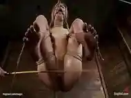 Hogtied blonde caned and fucked