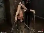 Lesbian sub in upside down suspension