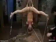 Suspended in an inverted straddle split