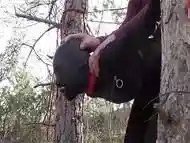 Tied up to a tree outdoor on sexy clothes, wearing pantyhose and high ankle boots heels, rough fuck