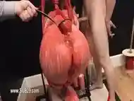 BDSM hardcore action with ropes and extreme copulating