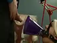 Bound piss drinking sub is humiliated