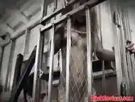 Caged asian sub throatfucked by her master