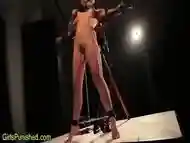 Domina Whips Bdsm Sub