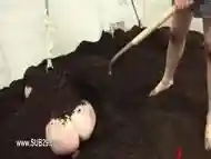 Ropes and dildos in her deep asshole fucked by a pig