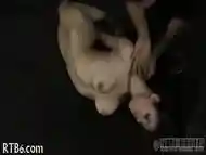 Tormenting Babe S Twat With Toy